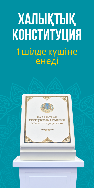 Конституция