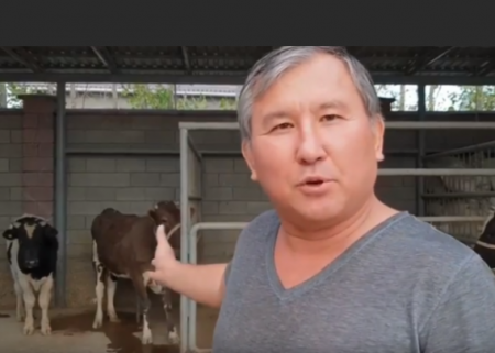 Бахытжан КОПБАЕВ: "Казахстан покупает молока на миллионы долларов за границей, а где своё - на бумаге?"