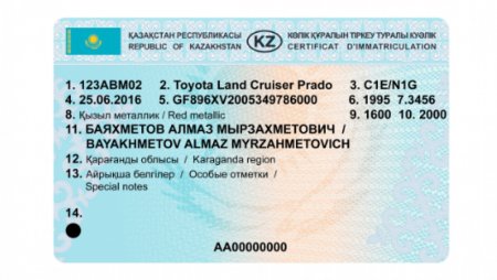 С 15 ноября будут новые водительское удостоверение и техпаспорт