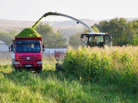 Республика бойынша ауыл шаруашылығы саласында өндірілген жалпы өнімнің 13 пайызы Түркістан облысына тиесілі: Агроөнеркәсіп кешенін дамыту және инвести