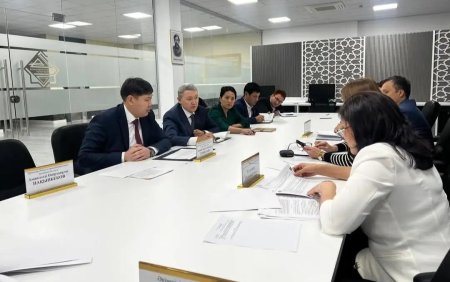 1) Түркістан облыстық сотында бизнес өкілдерінің қатысуымен қаралған істер көбейген