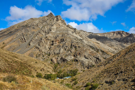 Қаратауға көтерілген тәртіп сақшылары