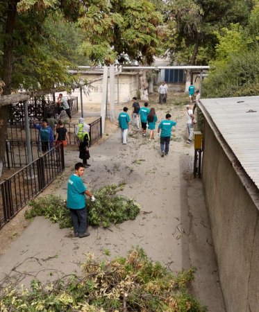 Шымкентцы объединились ради чистого города: 172 тонны мусора вывезено за один день
