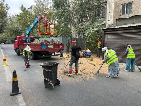 Шымкентте «Таза қала» жалпы қалалық сенбілігі жоғары деңгейде өтті