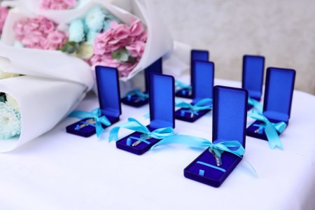 КӨКСАЙ: 8 ОТБАСЫҒА ЖАҢА ПӘТЕР БЕРІЛДІ