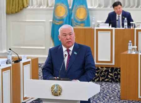 Қазақстанда бір палаталы Құрылтайды ықтимал тарату тетігін неғұрлым икемді ету ұсынылды