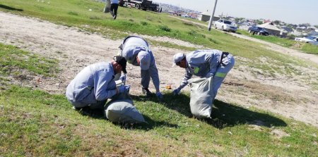 Әл-Фараби ауданы «Таза Қазақстан» бағдарламасы аясында сенбілікке қатысты