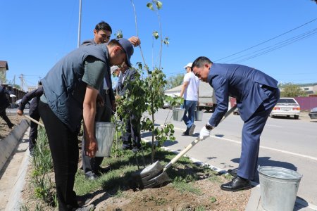 Қызылордада «Таза Қазақстан» экологиялық акциясы аясында кезекті ауқымды шара өтті
