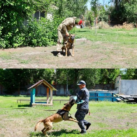 ХАЛЫҚАРАЛЫҚ НАШАҚОРЛЫҚҚА ҚАРСЫ КҮРЕС КҮНІНЕ ОРАЙ ТАНЫМДЫҚ ЭКСКУРСИЯ ҰЙЫМДАСТЫРЫЛДЫ