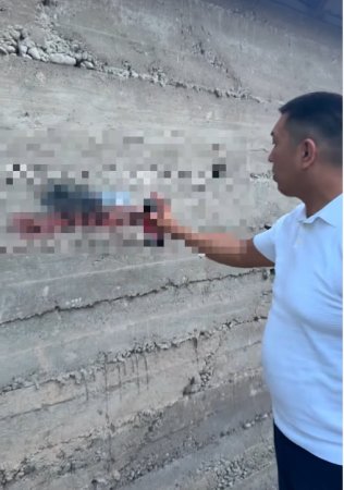ЗАҢ МЕН ТӘРТІП: ШЫМКЕНТТЕ «STOP GRAFFITI» ЖЕДЕЛ-ПРОФИЛАКТИКАЛЫҚ ІС-ШАРАСЫ ӨТУДЕ