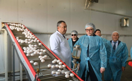 Шымкентте 47 өнімсіз делдал әрекеті тоқтатылды: министр сауда нысандарын аралады