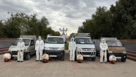 Абай саябағында масаларға қарсы дезинсекция жүргізілді
