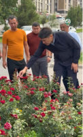 Қаратау ауданында кешенді тексеру: басшылық нақты міндеттер қойды