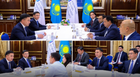 Шымкент инвестициялық картада: шетелдік компаниялар оңтүстік мегаполиске ат басын тіреді